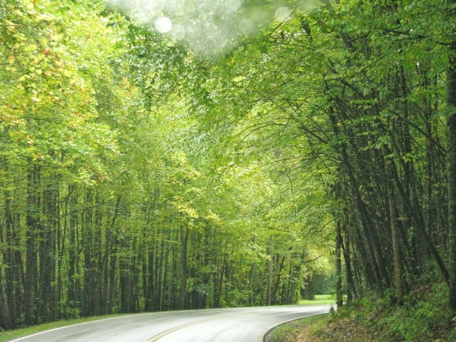 Great Smoky Mountains National Park